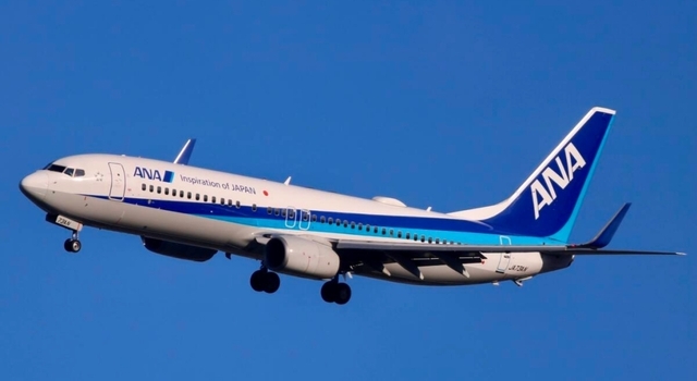 ANA B737-800.jpg