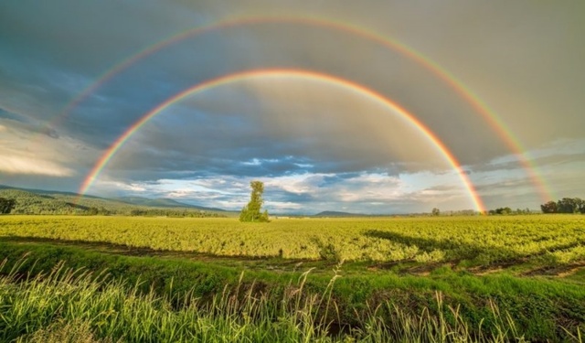 Double-Rainbow.jpg