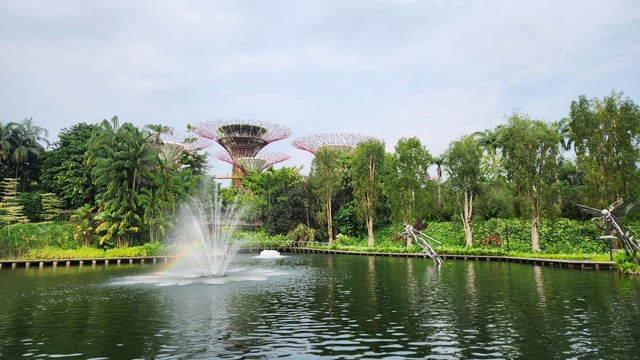 MNL-SIN24-112.jpg