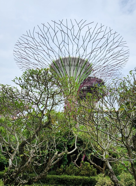 MNL-SIN24-120.jpg