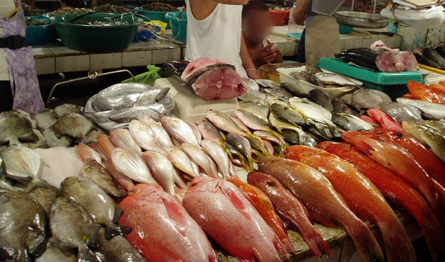 Manila_photo33.jpg