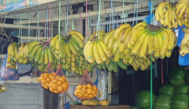 Manila_photo42.jpg