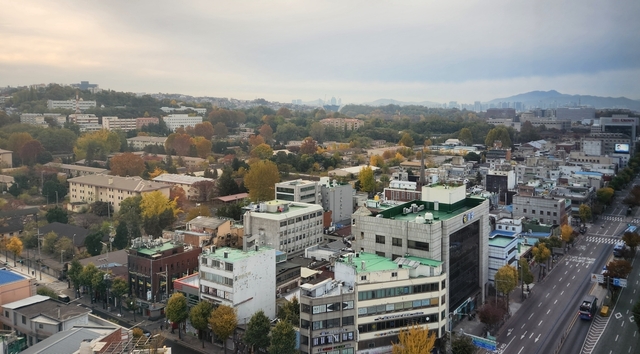 Seoul 24 autumn-20.jpg