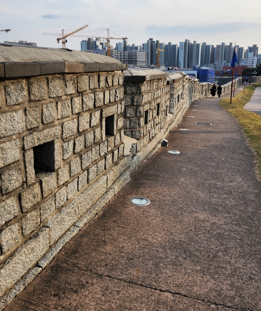 Seoul 24 autumn-58.jpg