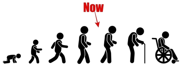 aging_0-80.jpg