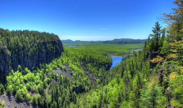 canada-forest.jpg