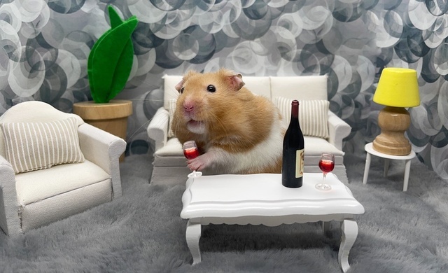 hamster_drunk-1.jpg