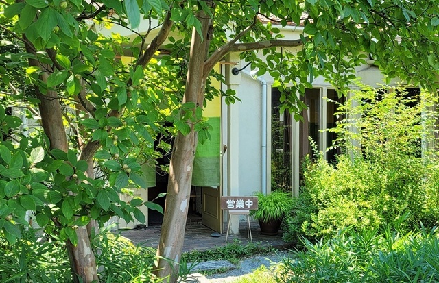 kamijyo-2.jpg