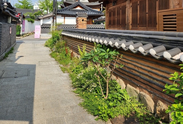 korea23may-102.jpg