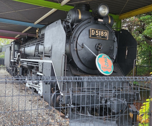 nonhoi-12.jpg
