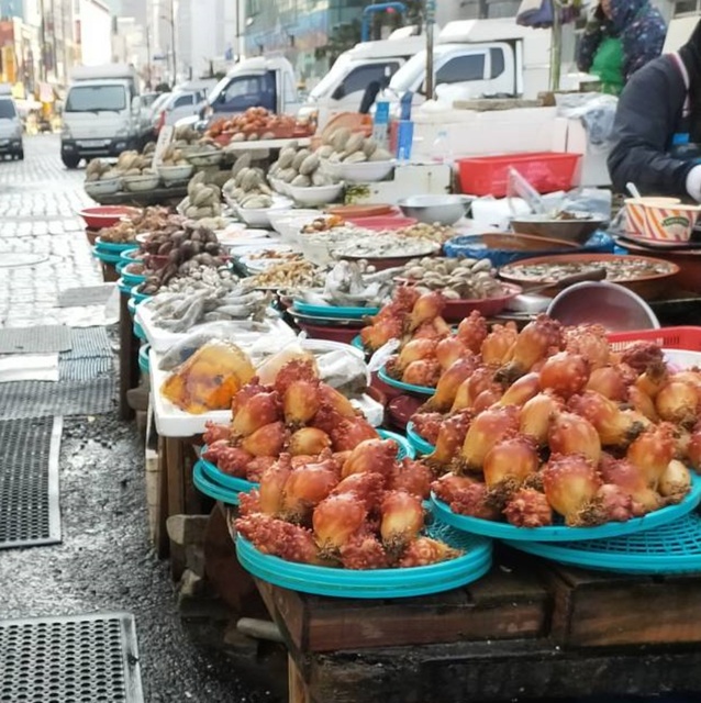 pusan240384.jpg