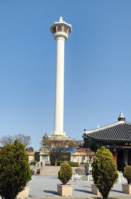 pusan240385.jpg