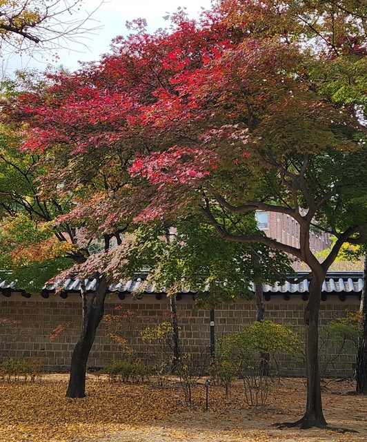 seoul_2311-39.jpg