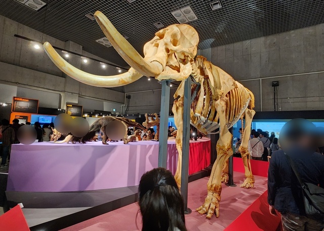 ueno_museum24-15.jpg