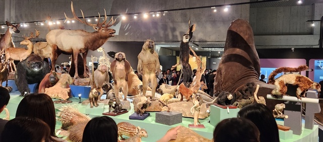 ueno_museum24-17.jpg