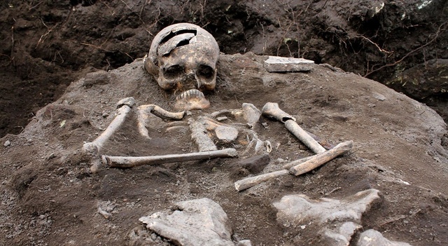 vampire-bone.jpg
