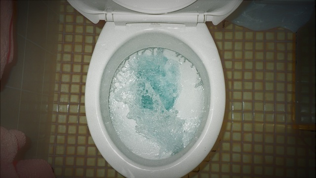 water_toilet.jpg