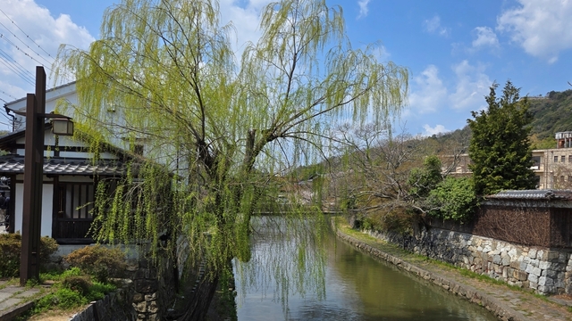 biwako25-32.jpg