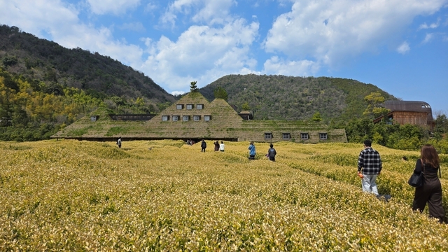 biwako25-45.jpg